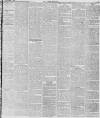 Leeds Mercury Monday 17 November 1873 Page 3