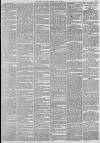 Leeds Mercury Friday 15 July 1881 Page 5