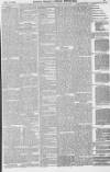 Lloyd's Weekly Newspaper Sunday 06 December 1885 Page 11