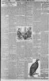 Lloyd's Weekly Newspaper Sunday 08 March 1896 Page 7