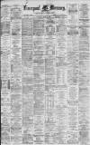 Liverpool Mercury Saturday 01 June 1878 Page 1