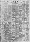 Liverpool Mercury Saturday 08 November 1879 Page 1
