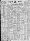 Liverpool Mercury Saturday 27 November 1880 Page 1