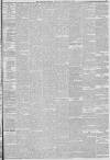 Liverpool Mercury Thursday 23 December 1880 Page 5