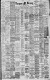 Liverpool Mercury Tuesday 14 January 1890 Page 1