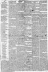 Northern Star and Leeds General Advertiser Saturday 13 February 1841 Page 19