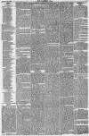 Northern Star and Leeds General Advertiser Saturday 14 February 1846 Page 29
