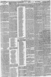Northern Star and Leeds General Advertiser Saturday 25 April 1846 Page 3