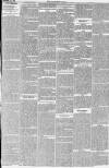 Northern Star and Leeds General Advertiser Saturday 19 September 1846 Page 25