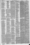 Northern Star and Leeds General Advertiser Saturday 30 December 1848 Page 12