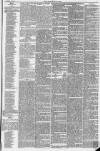 Northern Star and Leeds General Advertiser Saturday 06 January 1849 Page 19