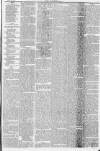 Northern Star and Leeds General Advertiser Saturday 10 March 1849 Page 11