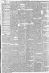 Northern Star and Leeds General Advertiser Saturday 09 June 1849 Page 11