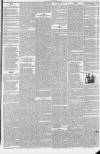 Northern Star and Leeds General Advertiser Saturday 21 July 1849 Page 19