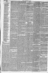 Northern Star and Leeds General Advertiser Saturday 27 July 1850 Page 19