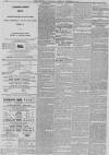 North Wales Chronicle Saturday 26 December 1868 Page 4