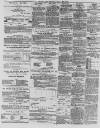 North Wales Chronicle Saturday 15 May 1875 Page 8