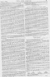 Pall Mall Gazette Tuesday 07 March 1865 Page 7
