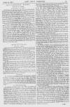 Pall Mall Gazette Friday 24 March 1865 Page 11