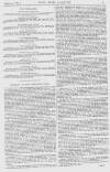Pall Mall Gazette Friday 31 March 1865 Page 13