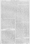 Pall Mall Gazette Friday 31 March 1865 Page 19
