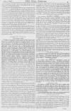 Pall Mall Gazette Tuesday 04 April 1865 Page 3