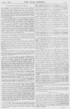 Pall Mall Gazette Friday 07 April 1865 Page 11
