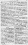 Pall Mall Gazette Friday 16 June 1865 Page 11
