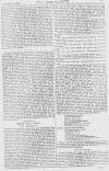 Pall Mall Gazette Saturday 02 September 1865 Page 11