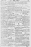 Pall Mall Gazette Thursday 23 November 1865 Page 11