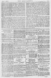 Pall Mall Gazette Monday 29 October 1866 Page 11