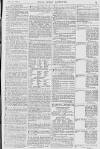 Pall Mall Gazette Thursday 07 November 1867 Page 13