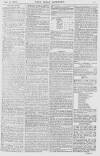 Pall Mall Gazette Thursday 14 November 1867 Page 11