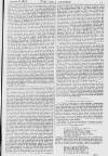 Pall Mall Gazette Friday 26 February 1869 Page 11