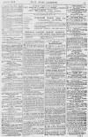 Pall Mall Gazette Wednesday 16 June 1869 Page 15