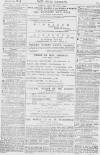 Pall Mall Gazette Thursday 19 August 1869 Page 15