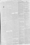 Pall Mall Gazette Wednesday 19 January 1870 Page 7
