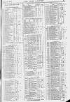 Pall Mall Gazette Wednesday 08 March 1871 Page 13