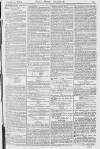 Pall Mall Gazette Wednesday 24 January 1872 Page 13