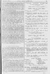 Pall Mall Gazette Friday 26 January 1872 Page 11