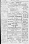 Pall Mall Gazette Saturday 27 January 1872 Page 15