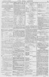Pall Mall Gazette Friday 02 February 1872 Page 13