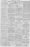 Pall Mall Gazette Wednesday 07 February 1872 Page 13