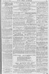 Pall Mall Gazette Thursday 22 February 1872 Page 15