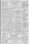 Pall Mall Gazette Friday 23 February 1872 Page 15