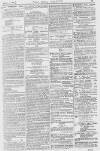 Pall Mall Gazette Friday 01 March 1872 Page 13