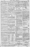 Pall Mall Gazette Tuesday 23 April 1872 Page 13