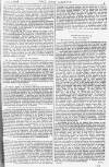 Pall Mall Gazette Wednesday 03 July 1872 Page 3