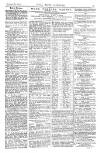 Pall Mall Gazette Monday 06 January 1873 Page 11