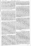 Pall Mall Gazette Saturday 11 January 1873 Page 11